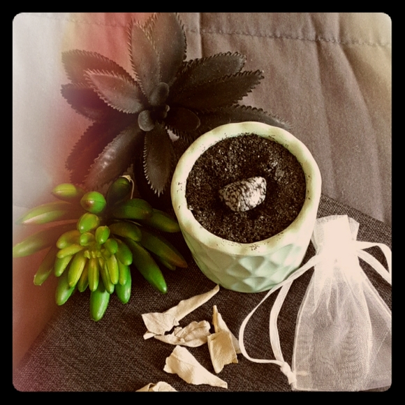 Other - Tumbled Snowflake Obsidian ☆ Metaphysical Gemstone